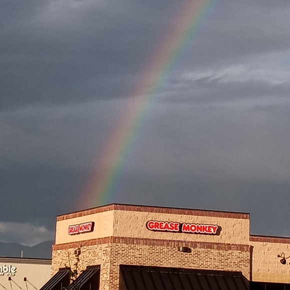 Meet your Posher, Brandy - Picture 1 of 1